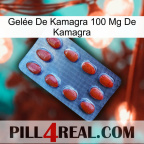Gelée De Kamagra 100 Mg De Kamagra 06